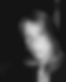 Agência de Relacionamento Goias