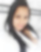 Leao doido de Campinas