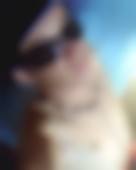 Ricardo de Santa maria